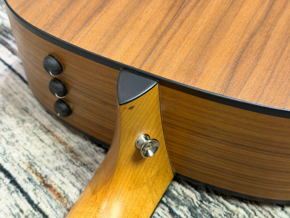 Taylor 110E electro dreadnought & case