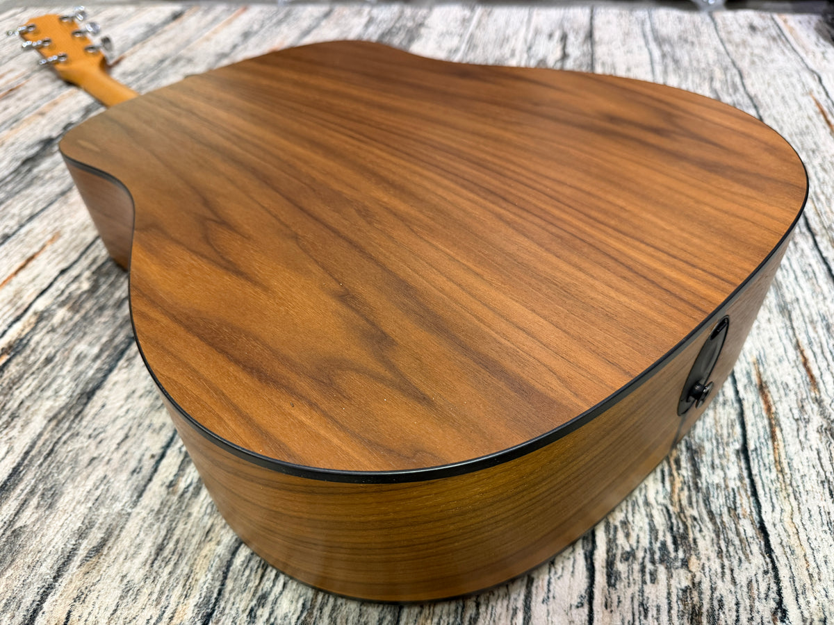 Taylor 110E electro dreadnought & case