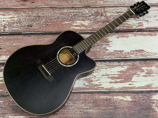 Auden Austin Smokehouse cutaway Electro & Case