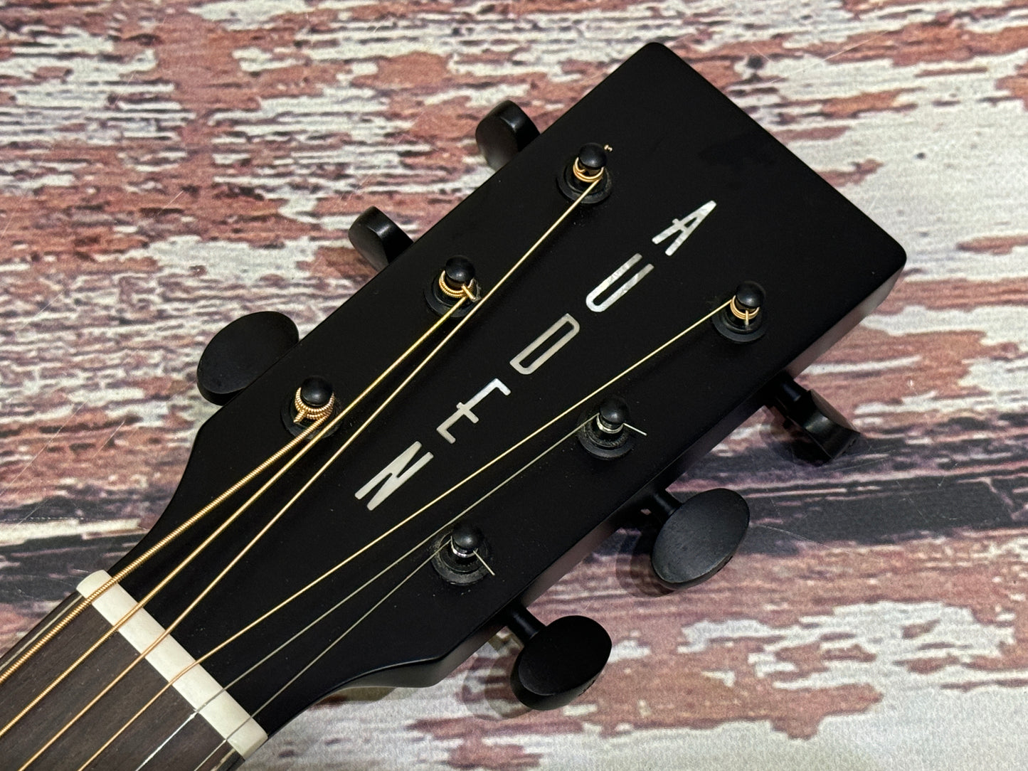 Auden Austin Smokehouse cutaway Electro & Case