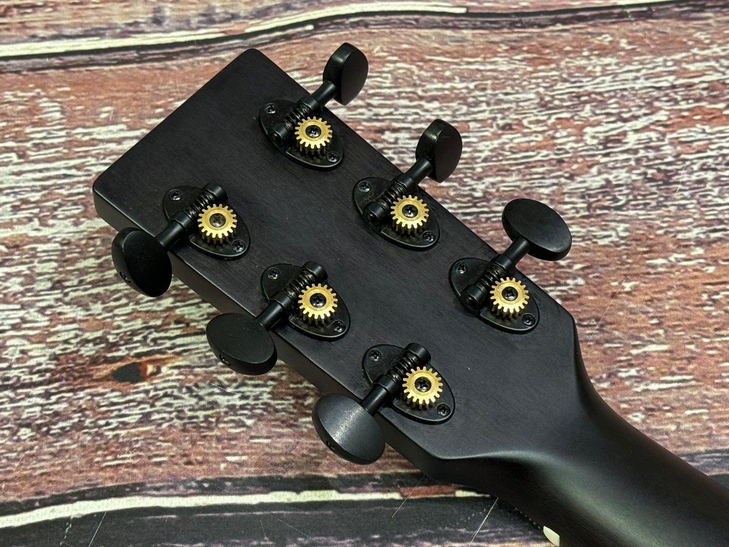 Auden Austin Smokehouse cutaway Electro & Case