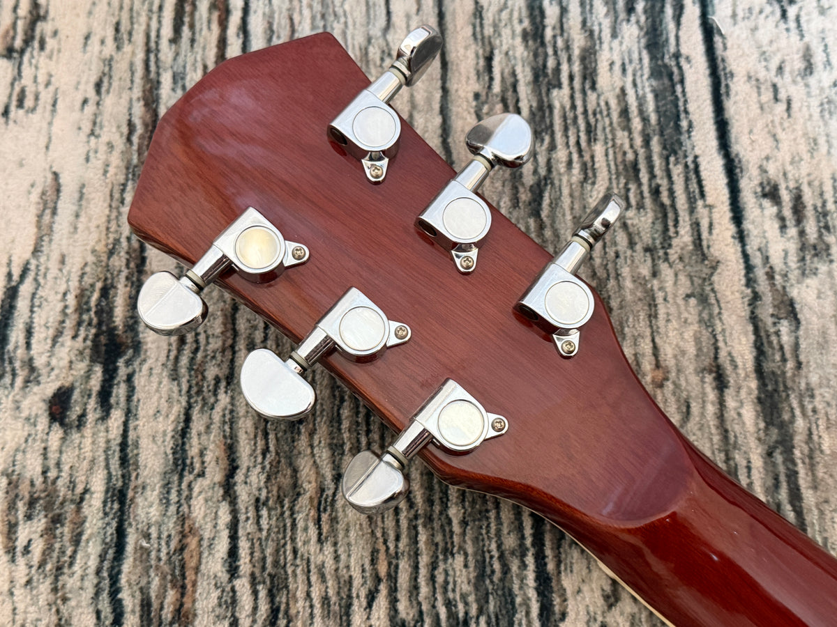 Sire Larry Carlton A3