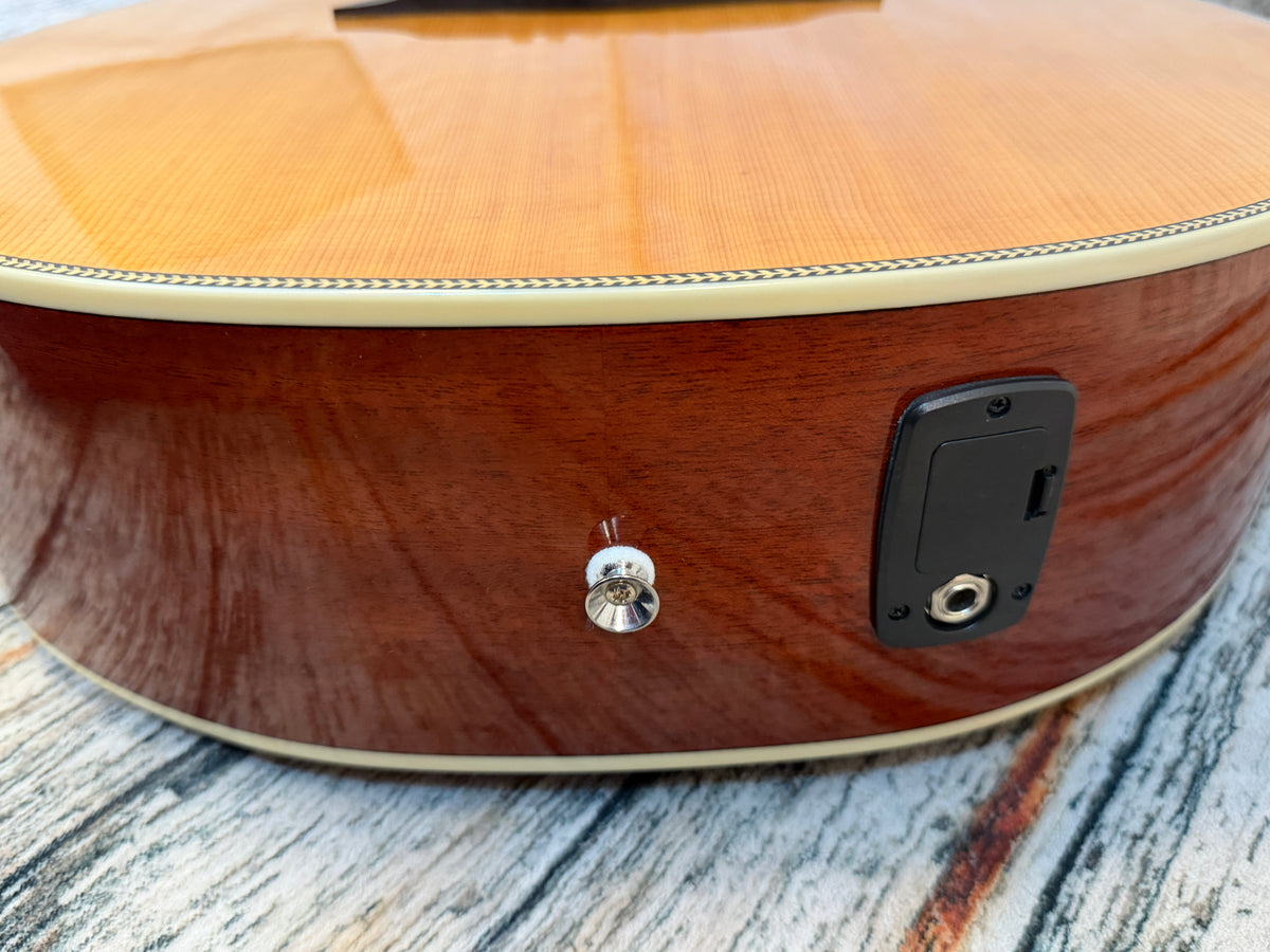 Sire Larry Carlton A3