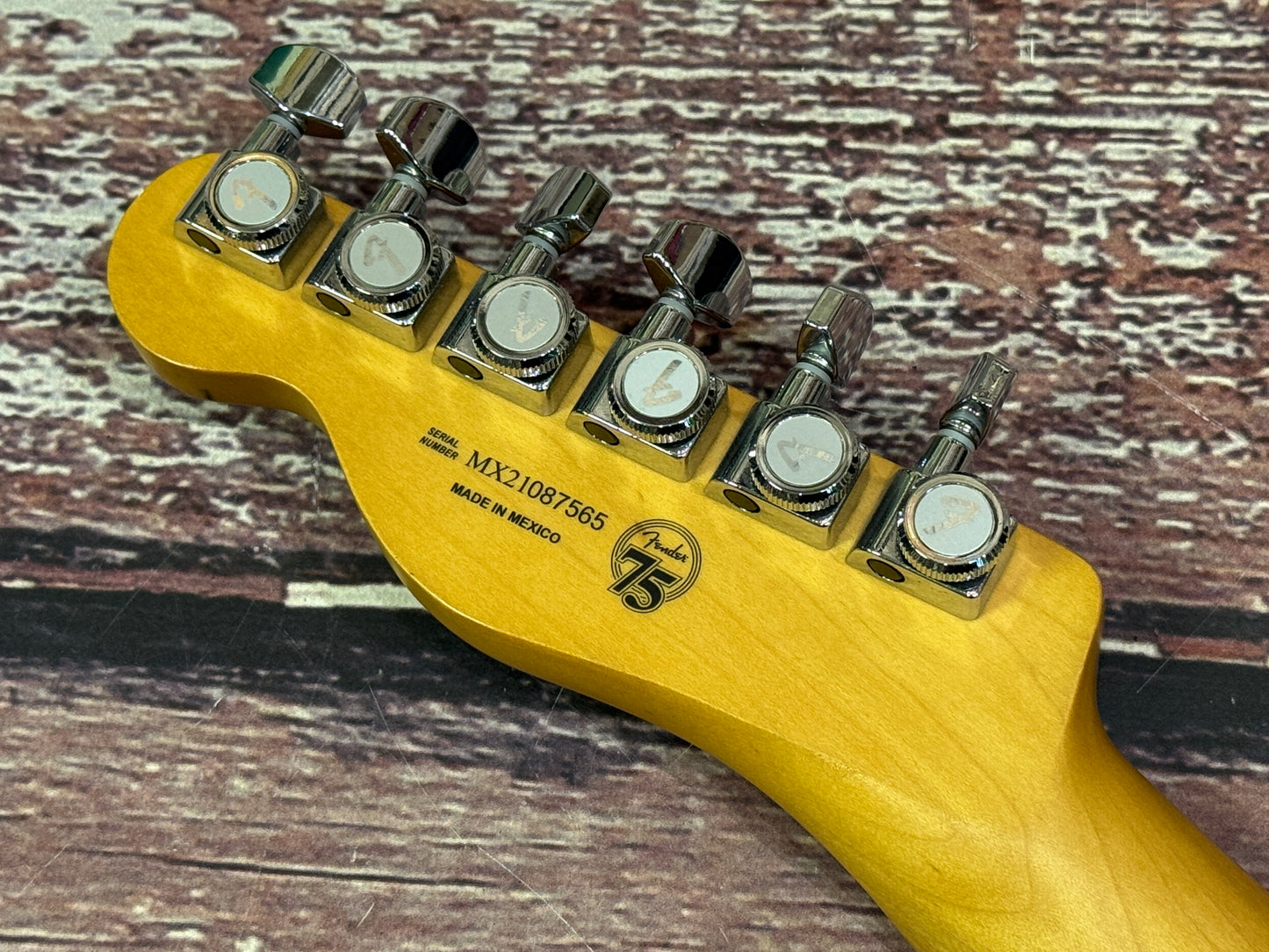 Fender Player Plus Telecaster