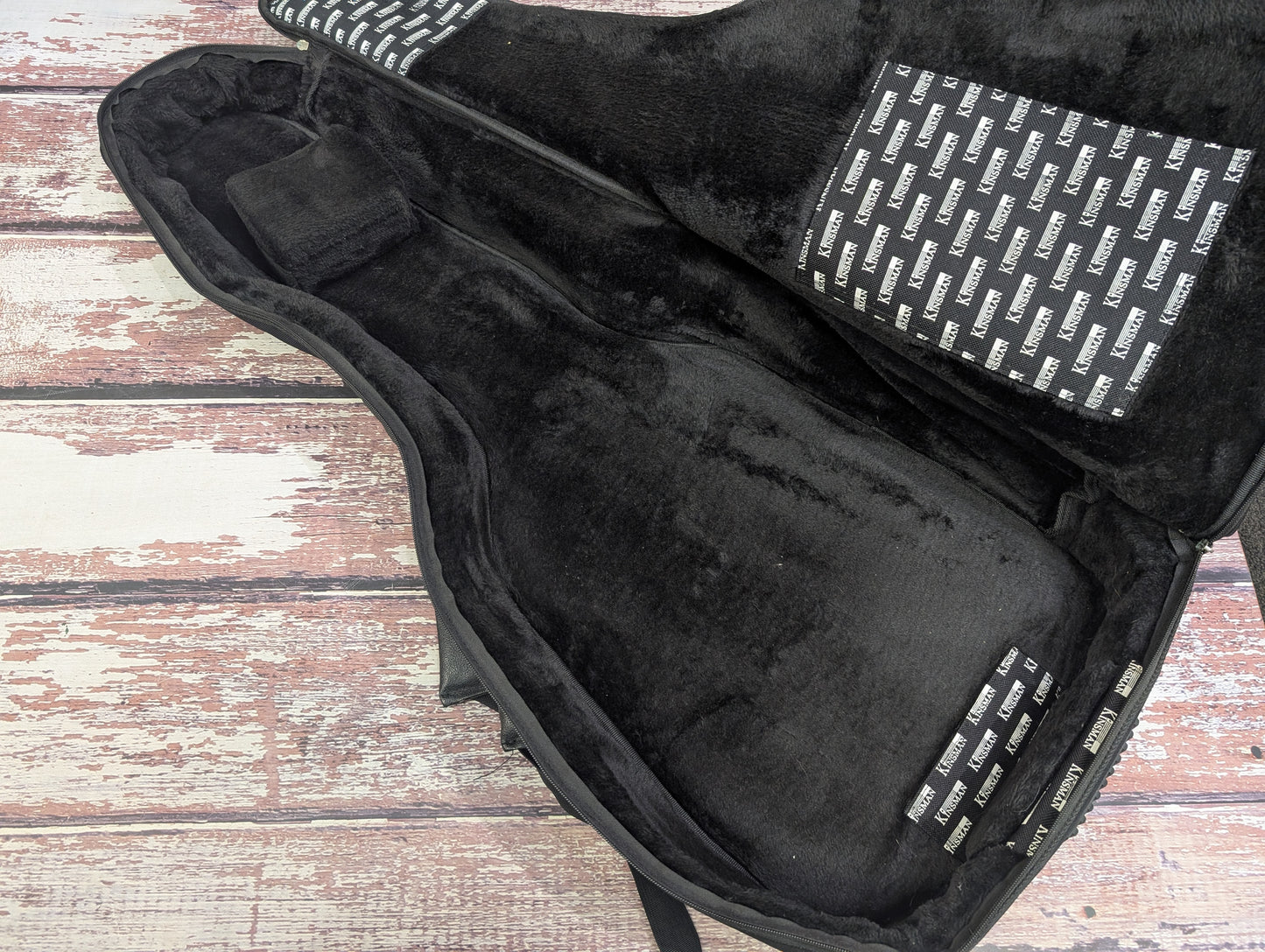Washburn EA36