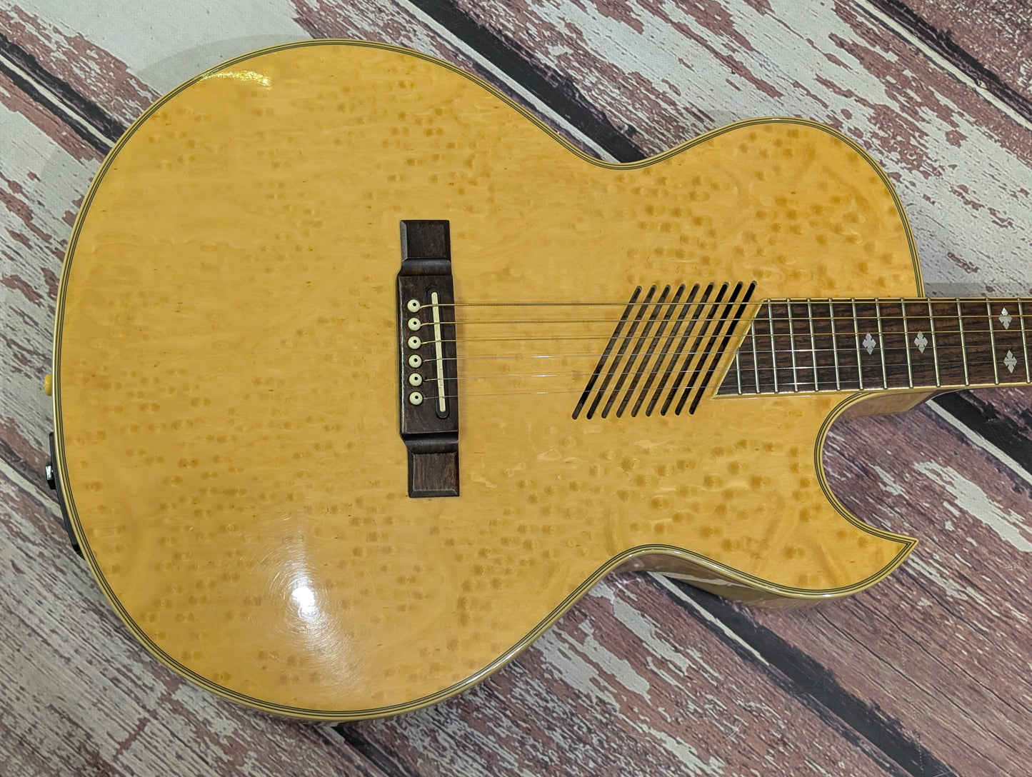 Washburn EA36