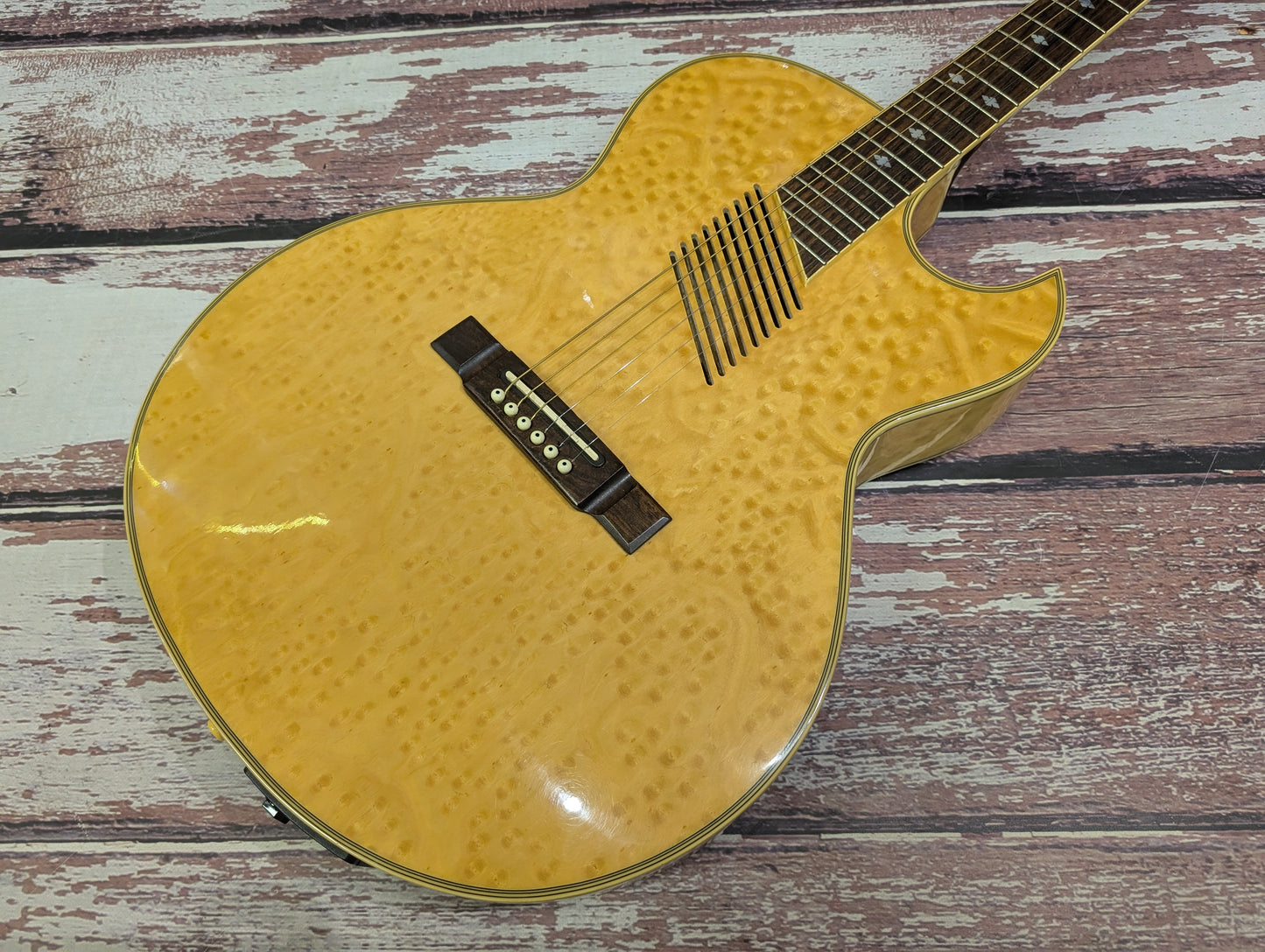 Washburn EA36