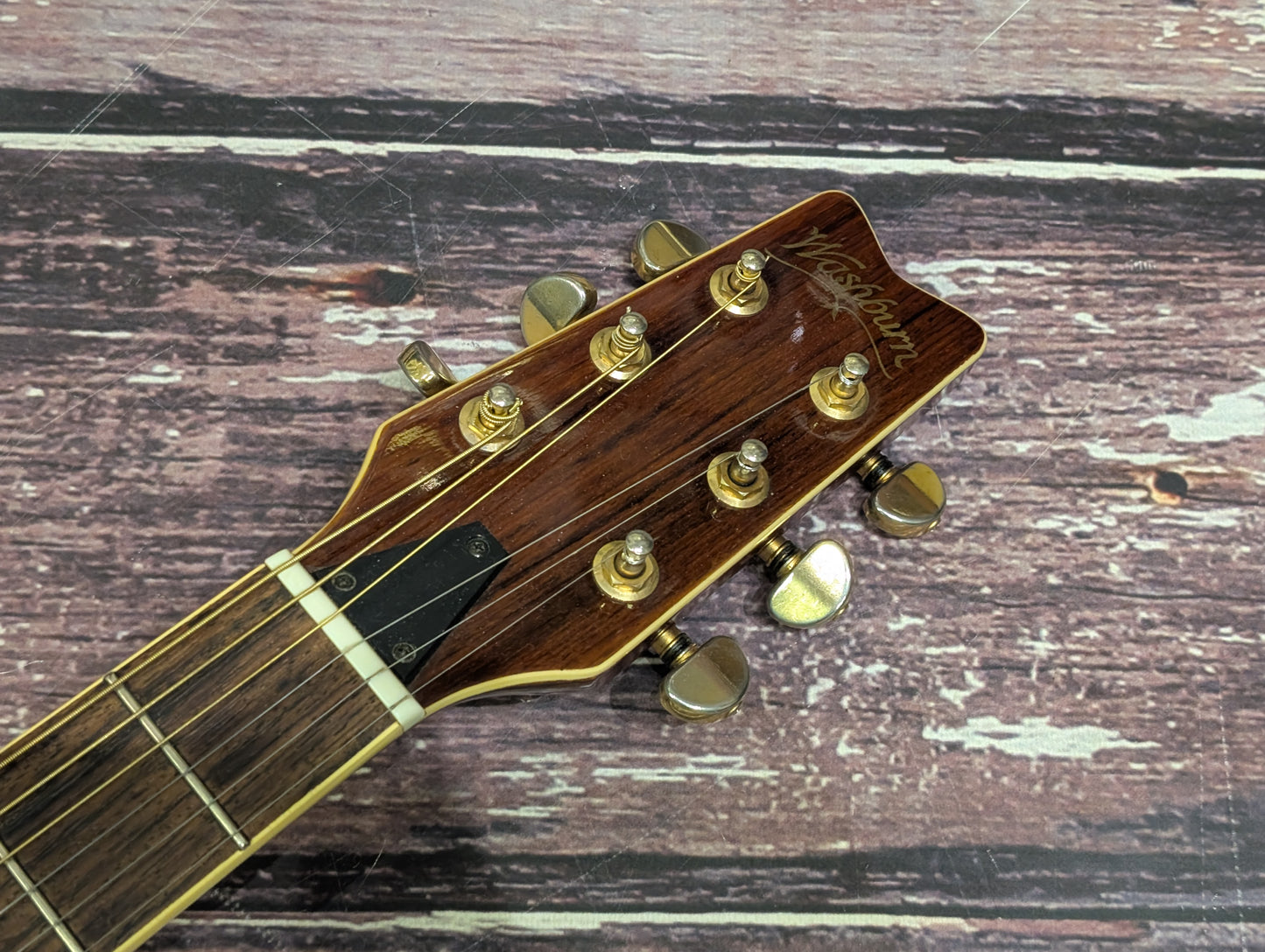 Washburn EA36
