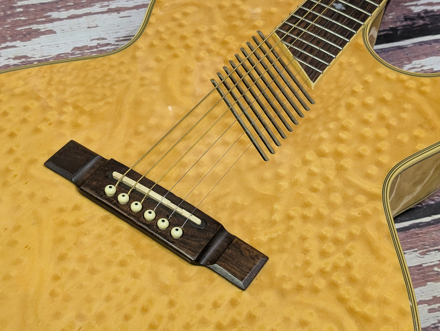 Washburn EA36