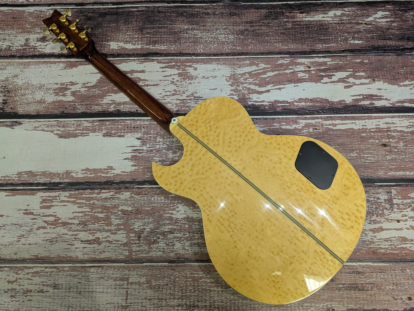 Washburn EA36