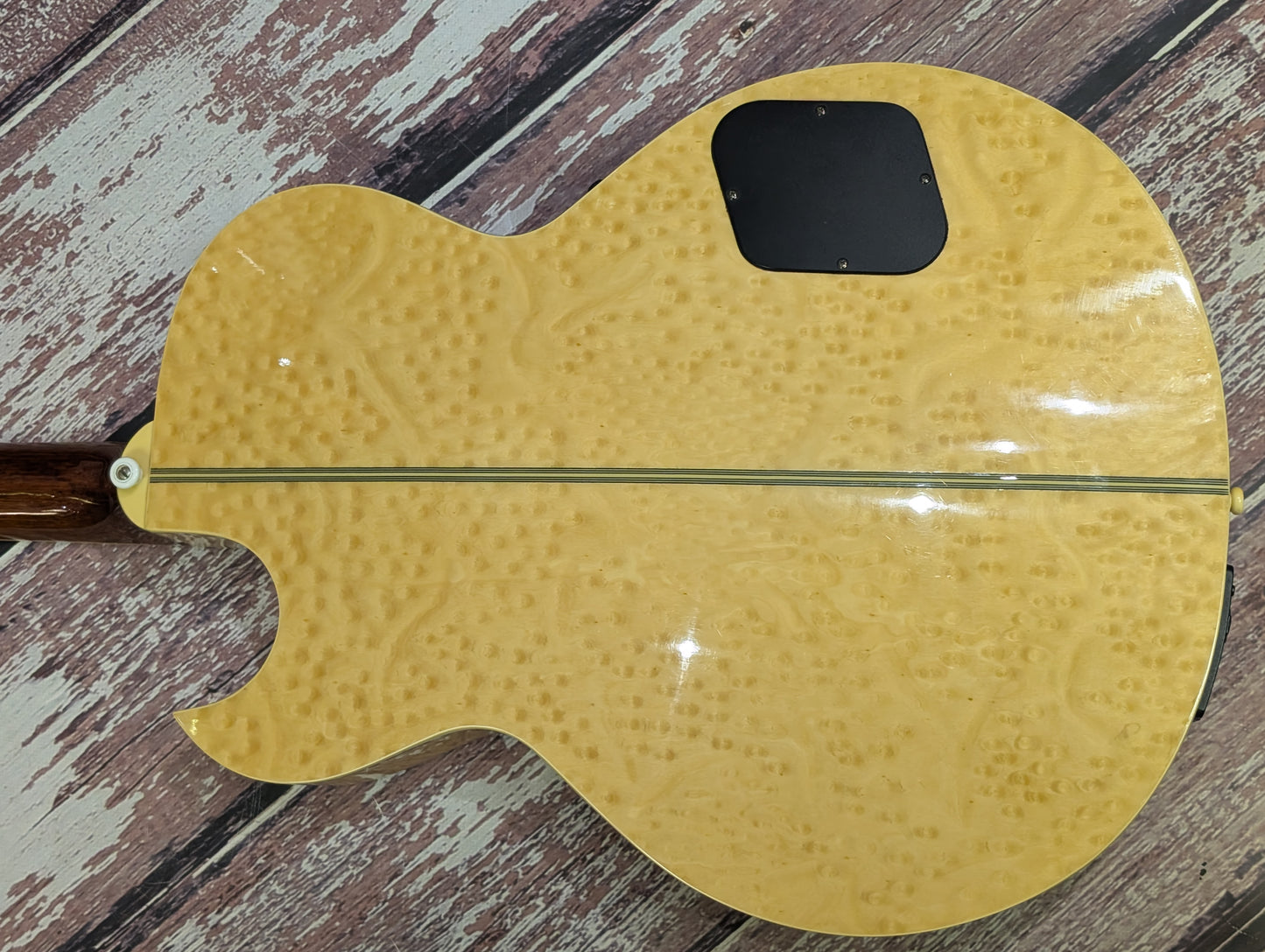 Washburn EA36