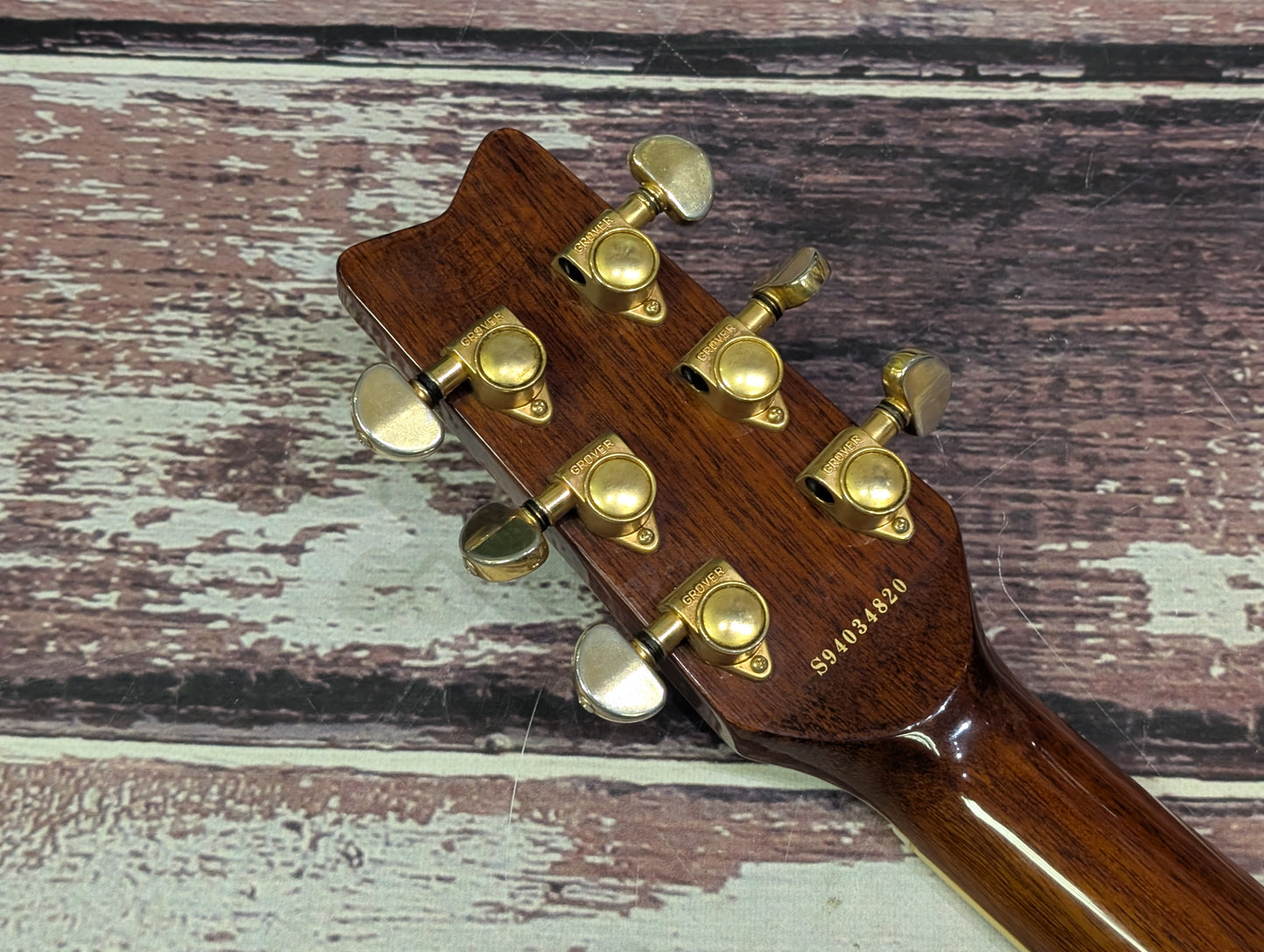 Washburn EA36