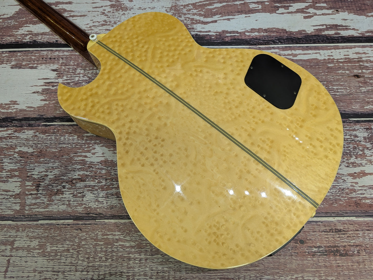 Washburn EA36