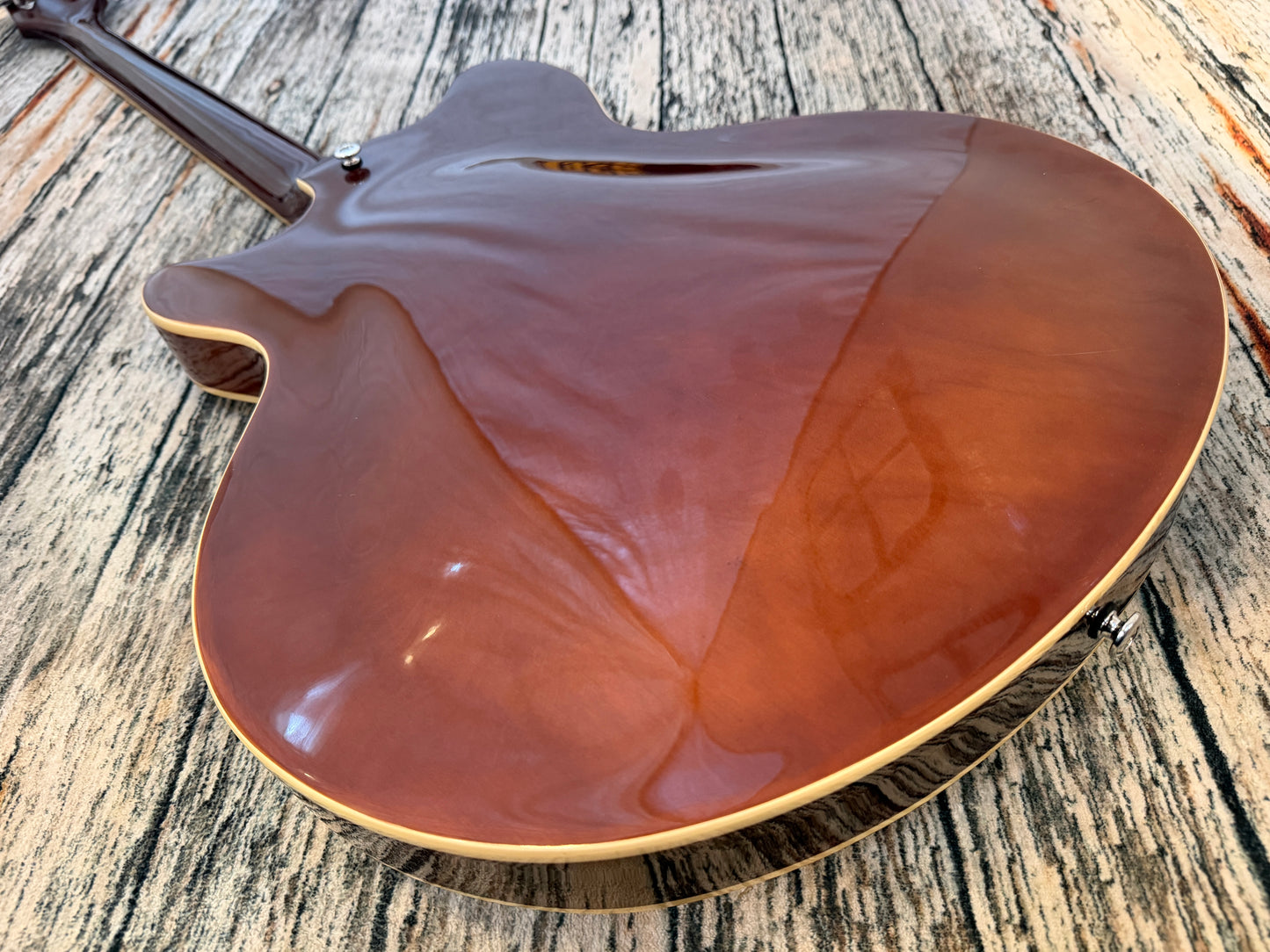 Revelation RBG Semi Hollow Bass