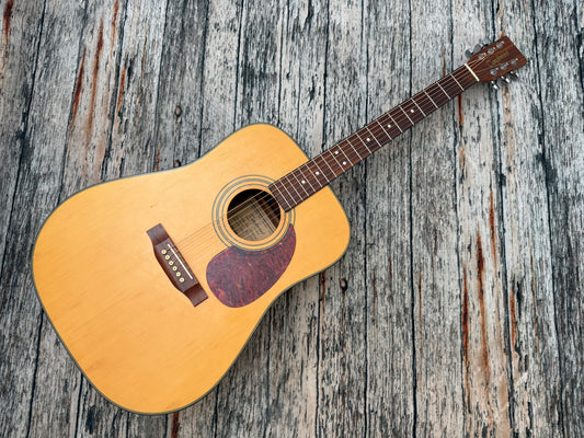 Tanglewood Korean (Cort factory) Earth 100 Dreadnought