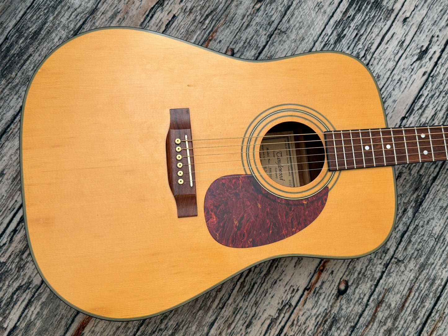 Tanglewood Korean (Cort factory) Earth 100 Dreadnought