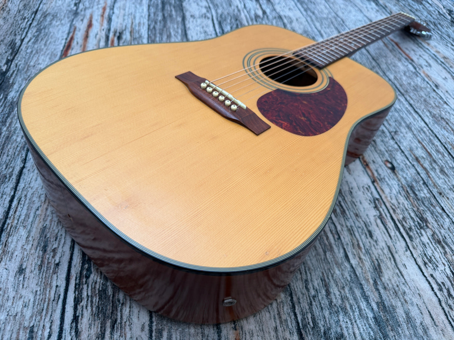 Tanglewood Korean (Cort factory) Earth 100 Dreadnought