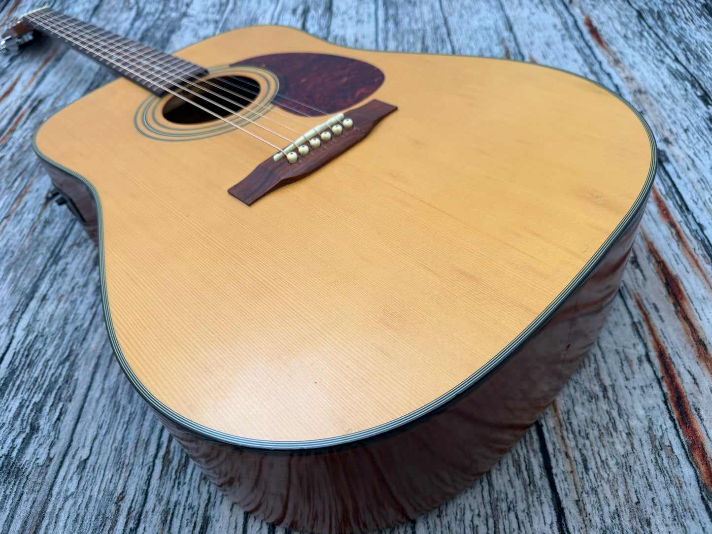 Tanglewood Korean (Cort factory) Earth 100 Dreadnought