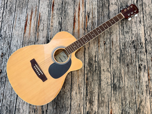 Aria AFN 15 CE Electro Acoustic