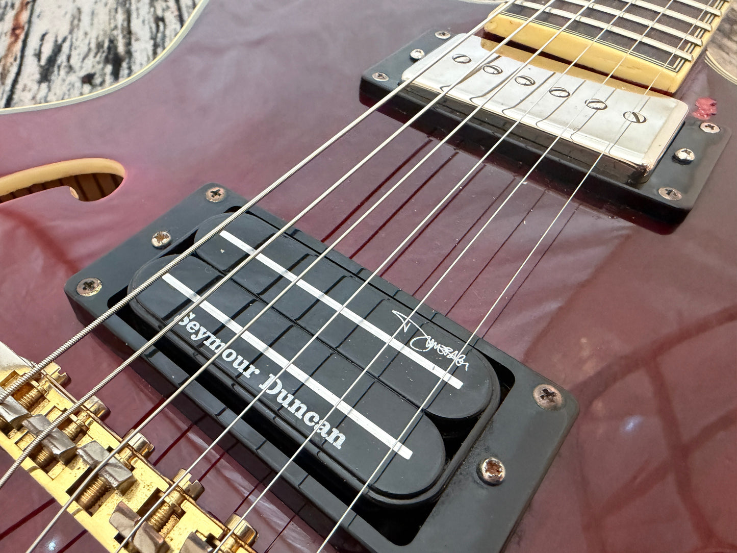 Epiphone Sheraton II - Dog o war!