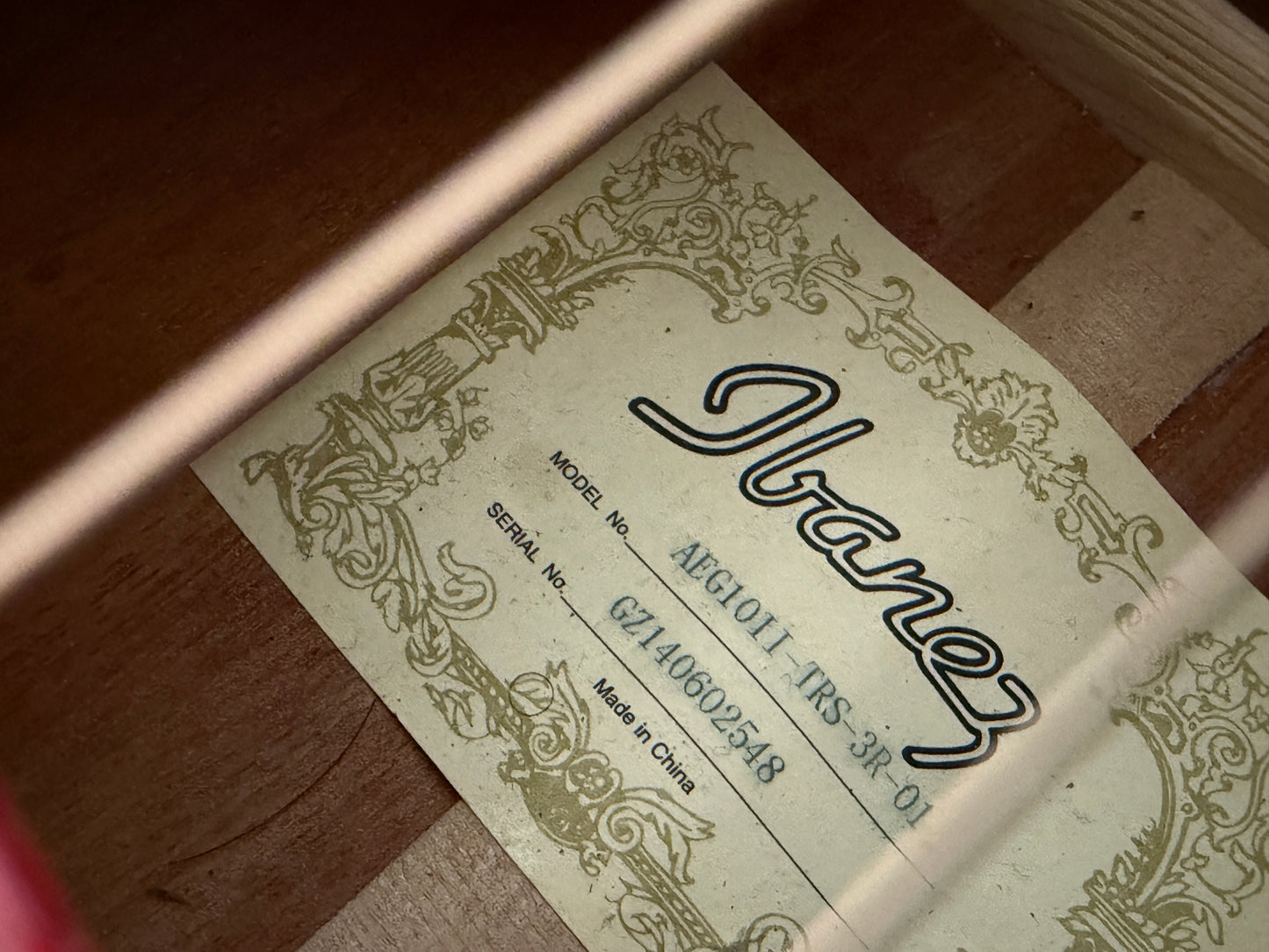 Ibanez AFG 10ii electro acoustic