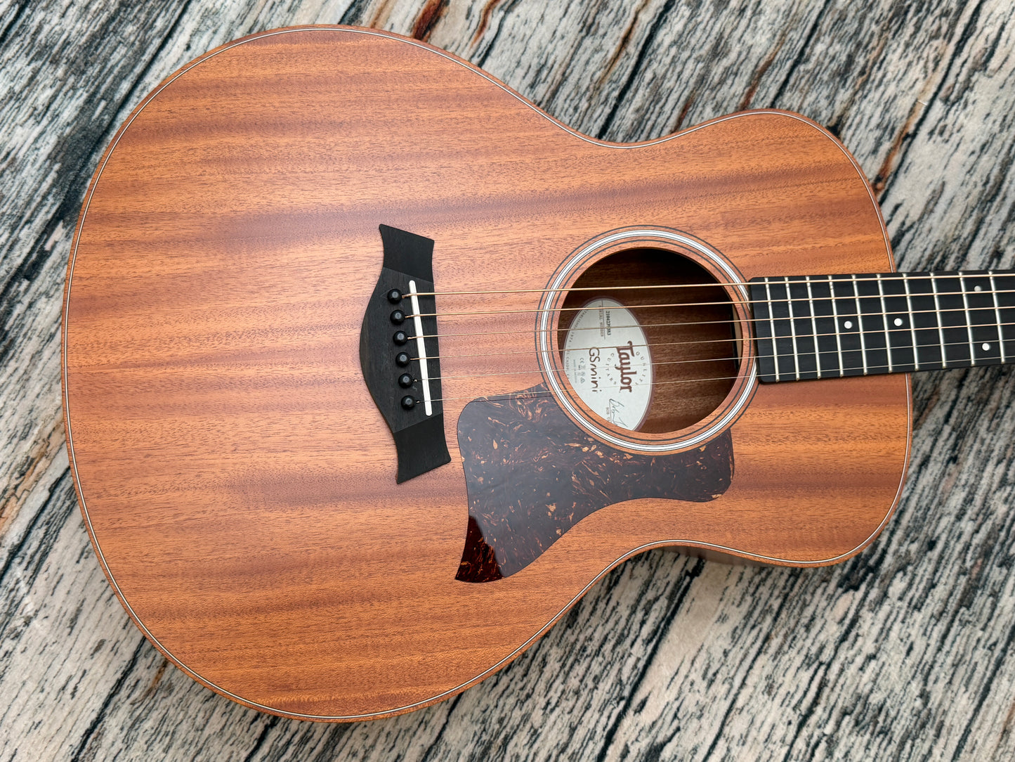 Taylor GS-Mini Mahogany with case