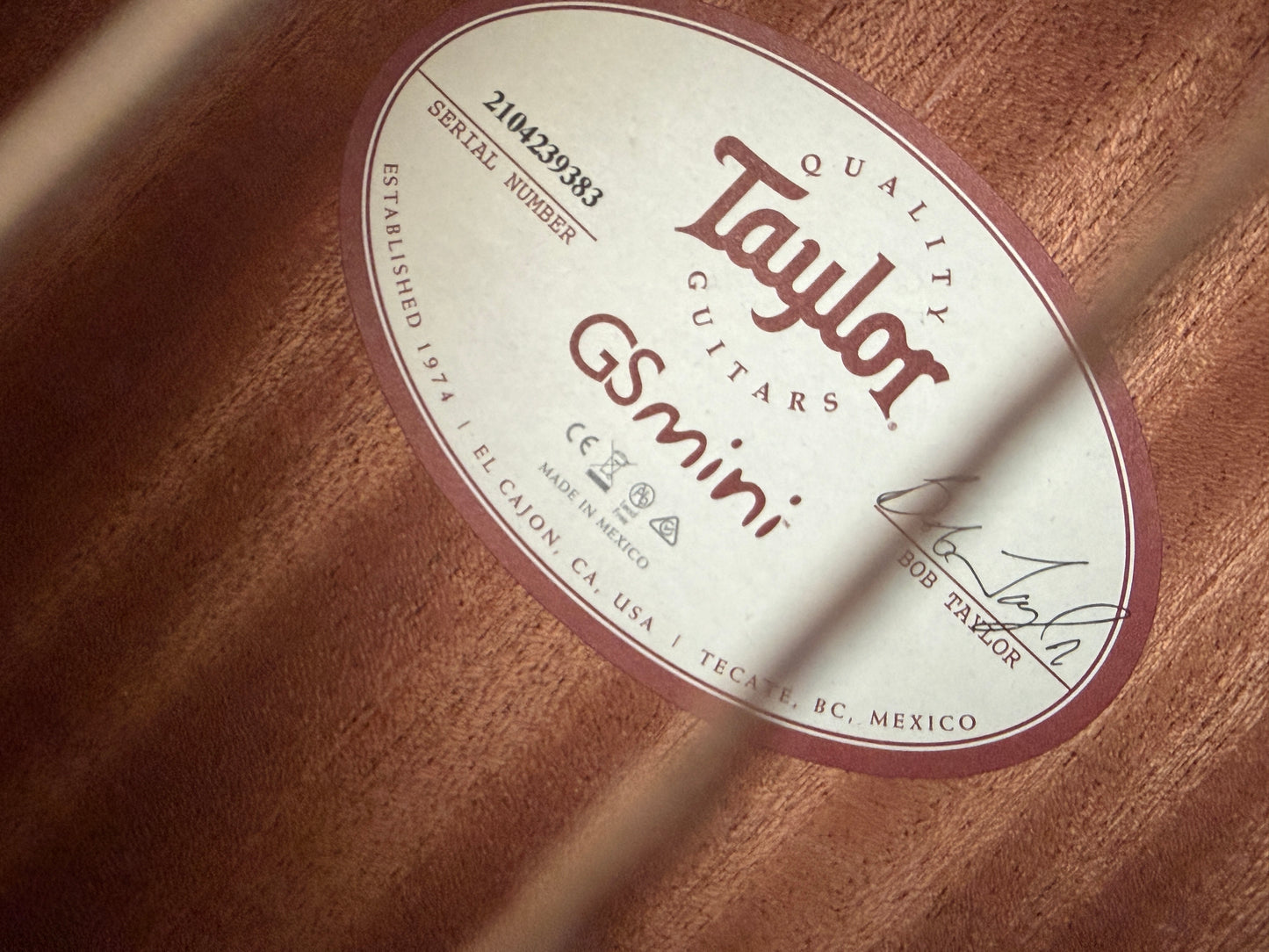 Taylor GS-Mini Mahogany with case