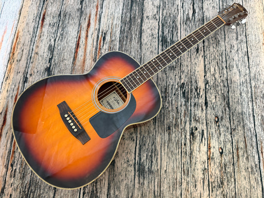 Aria AF20 Acoustic