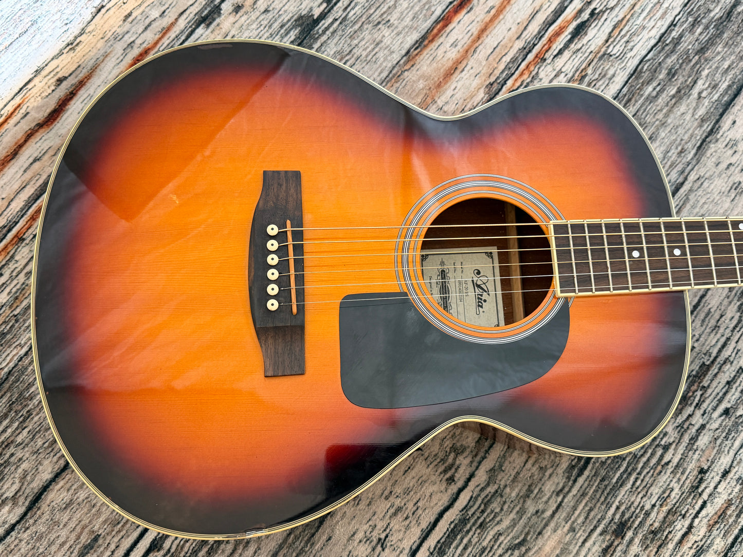 Aria AF20 Acoustic