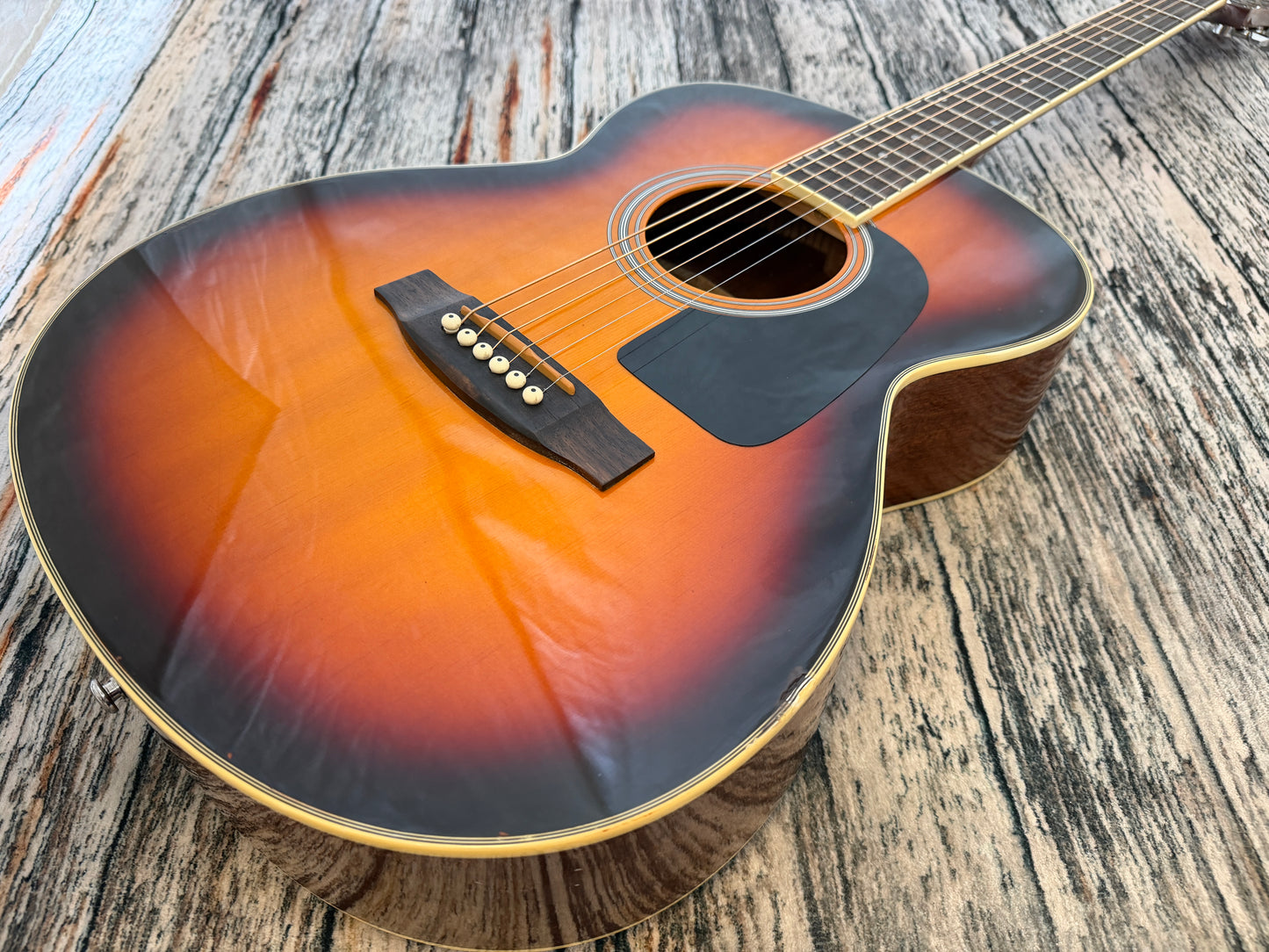 Aria AF20 Acoustic
