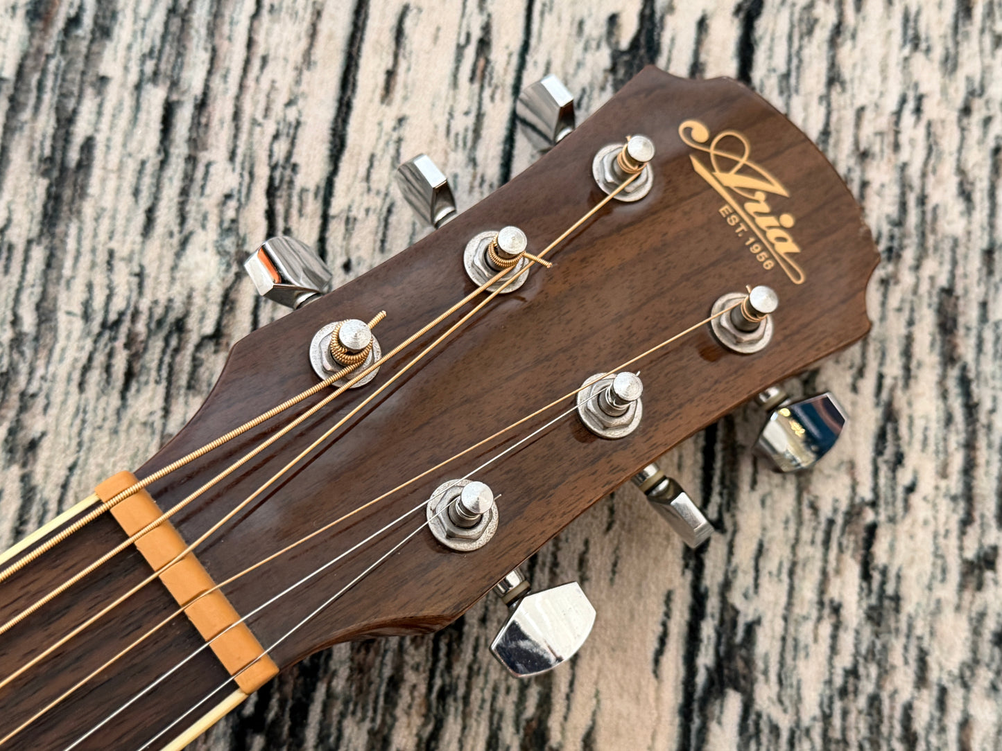 Aria AF20 Acoustic