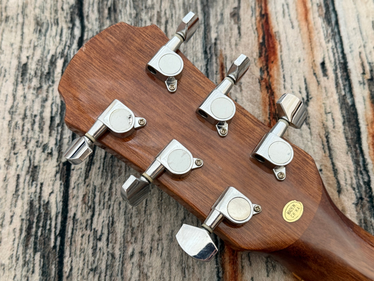 Aria AF20 Acoustic