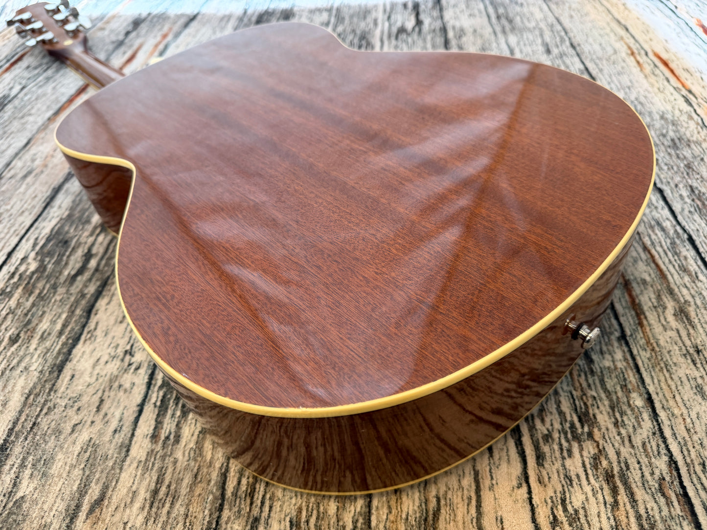 Aria AF20 Acoustic