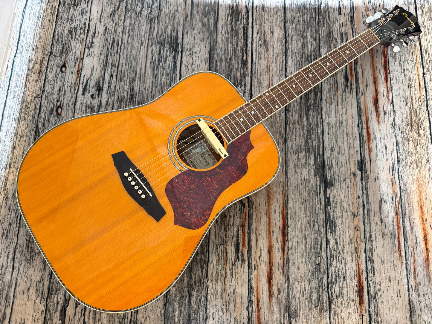 Ibanez SGE120-ATN Electro acoustic