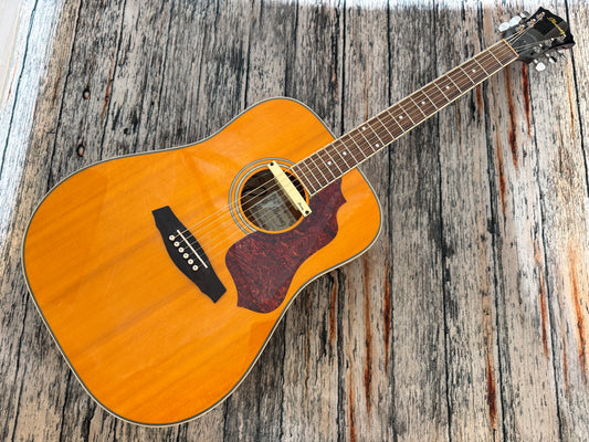 Ibanez SGE120-ATN Electro acoustic