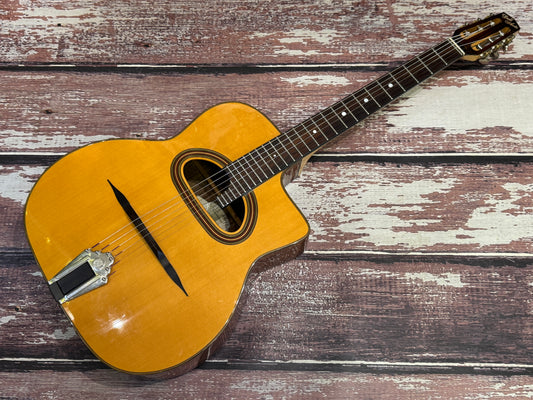 Dell Arte DG-H1 gypsy Jazz guitar