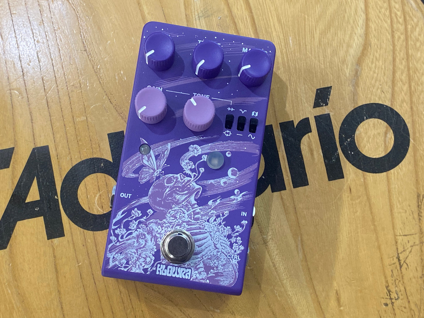 Klowra Gnash Distortion