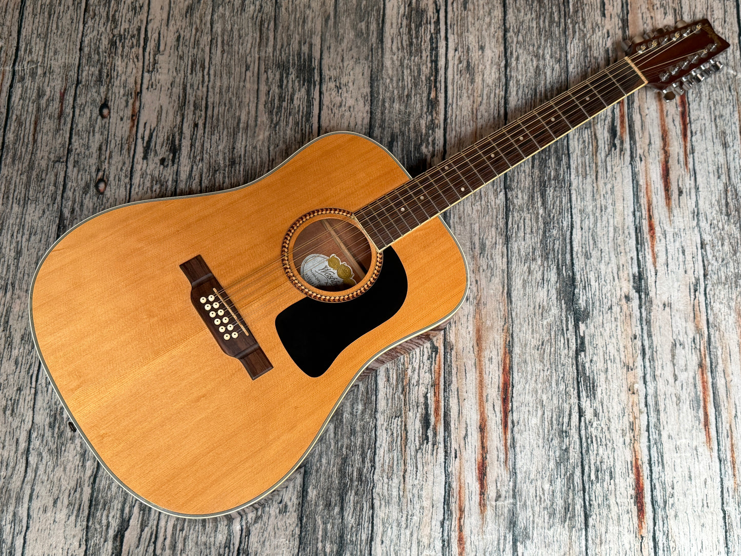 Washburn D10S12 string acoustic