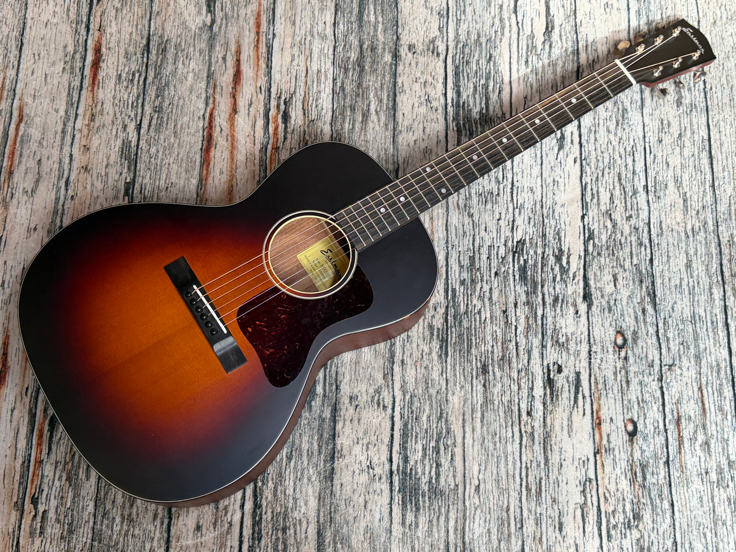 Eastman E1-00-SS & bag