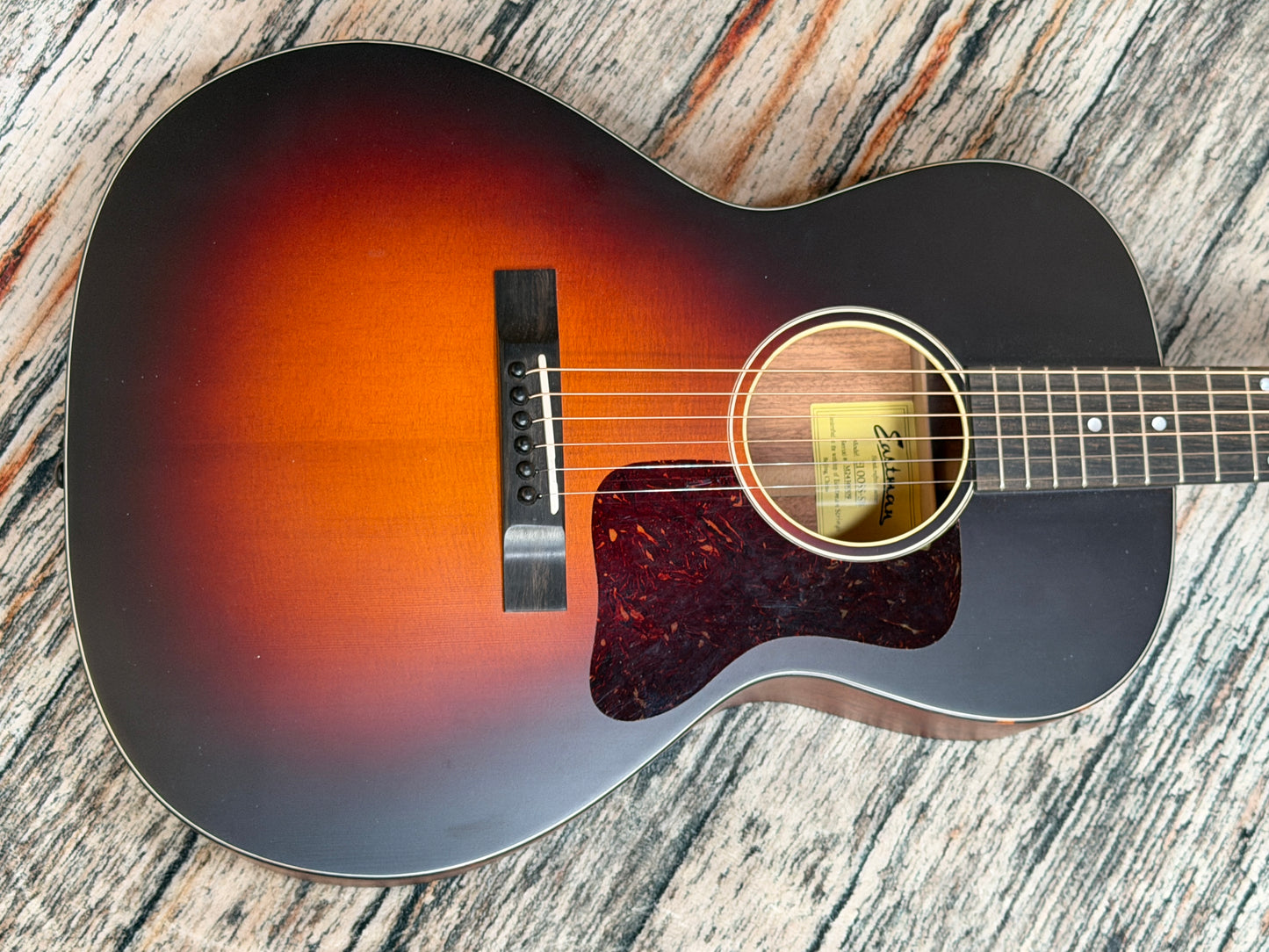 Eastman E1-00-SS & bag