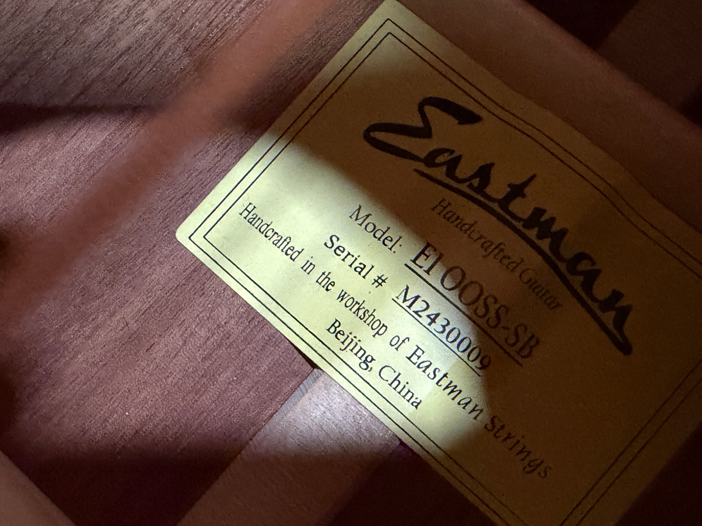 Eastman E1-00-SS & bag