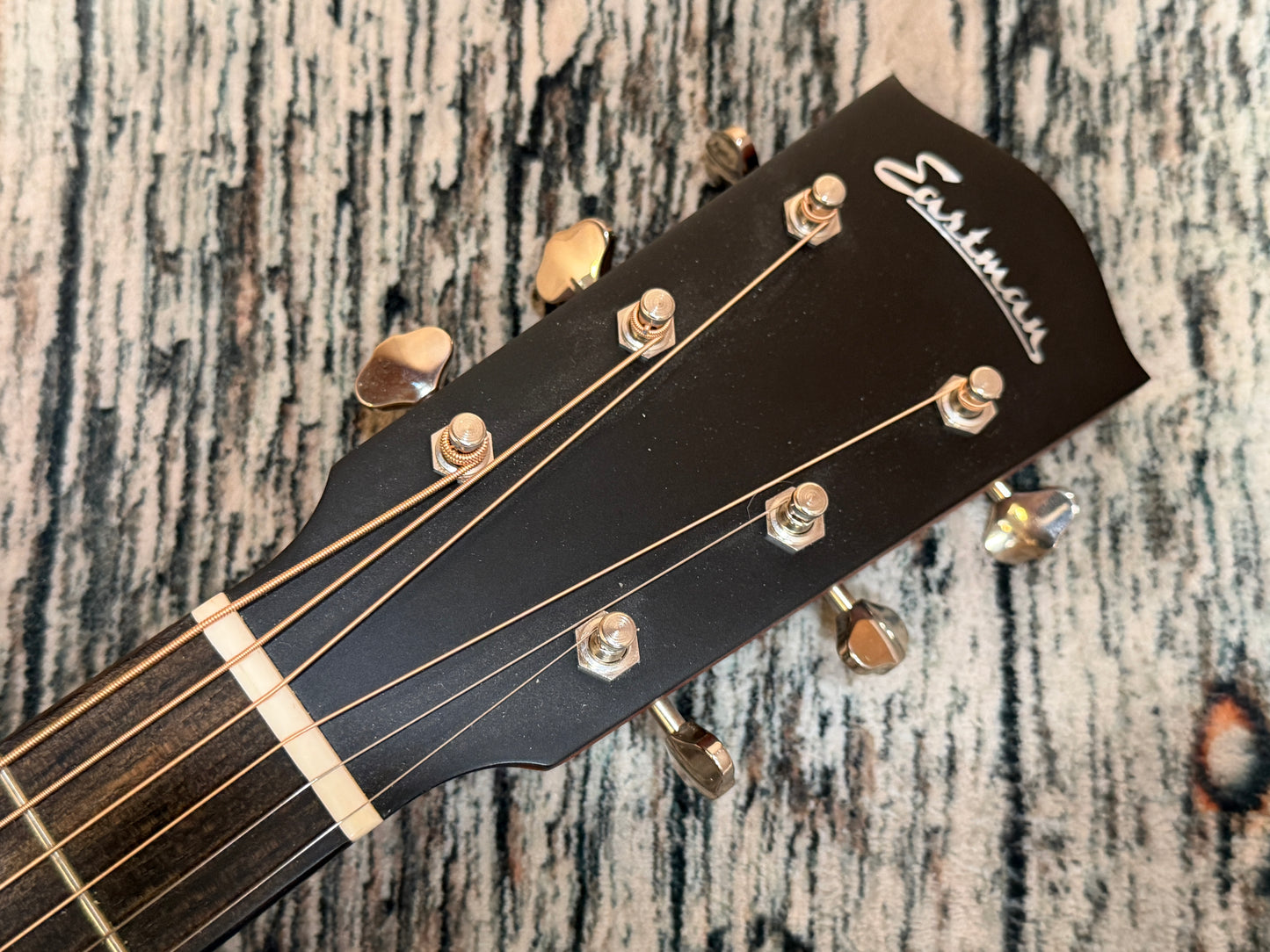 Eastman E1-00-SS & bag