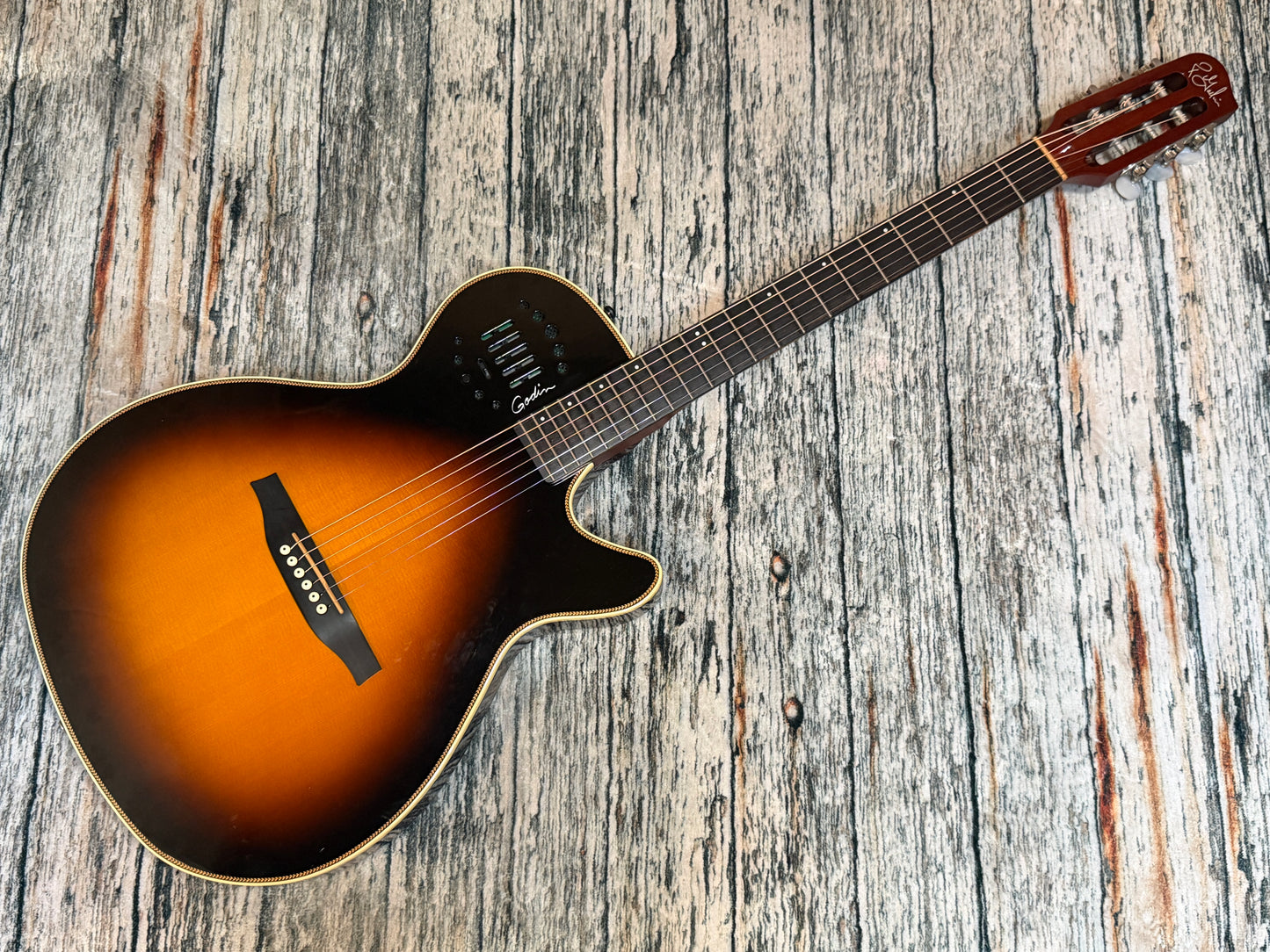 Godin Multiac Steel Duet Ambience.