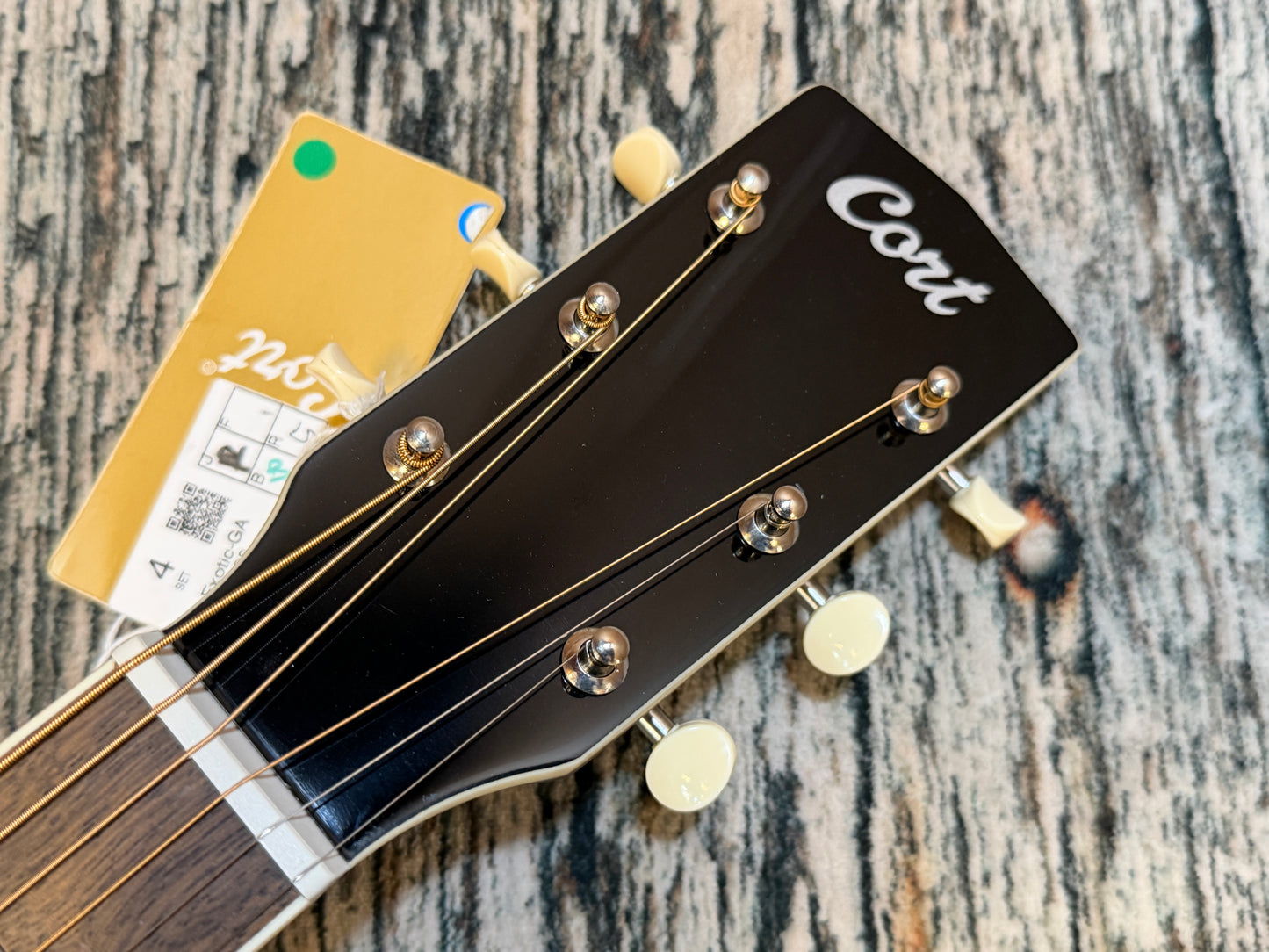 Cort Exotic-GA Walnut SS - Electro Acoustic