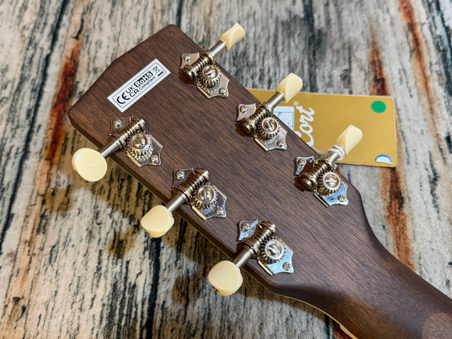 Cort Exotic-GA Walnut SS - Electro Acoustic