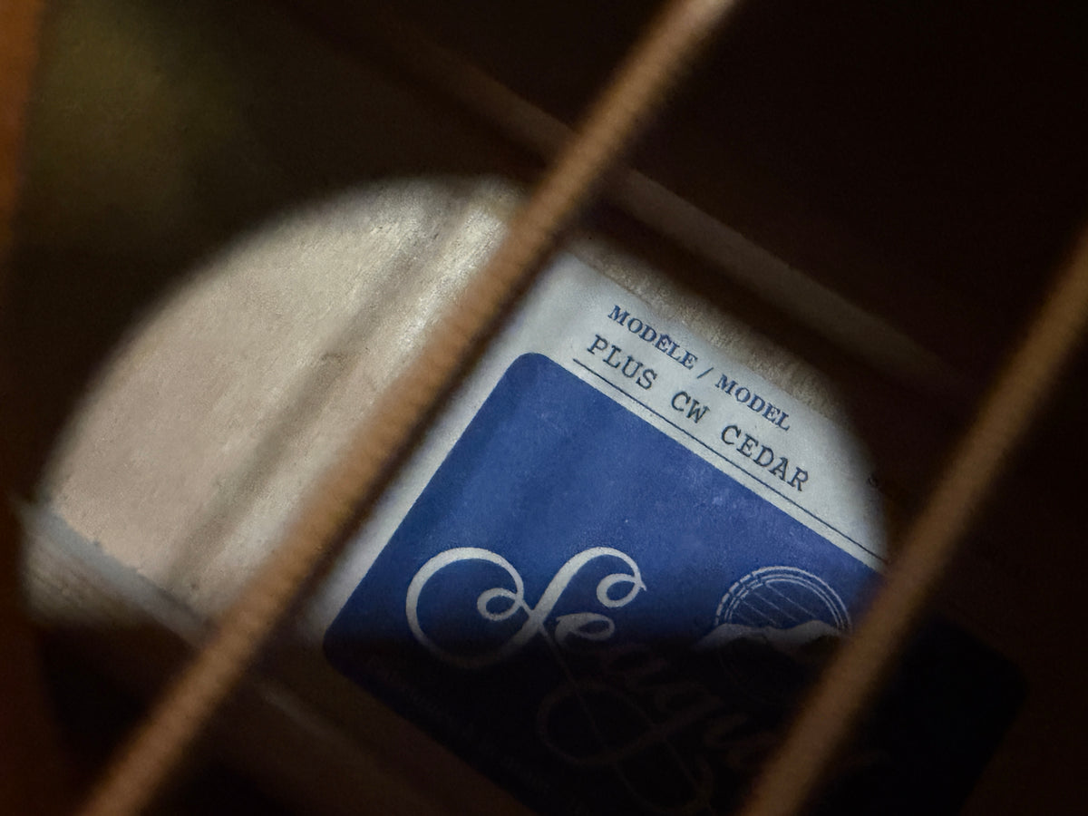 Seagull S6 plus CW cedar - All solid electro
