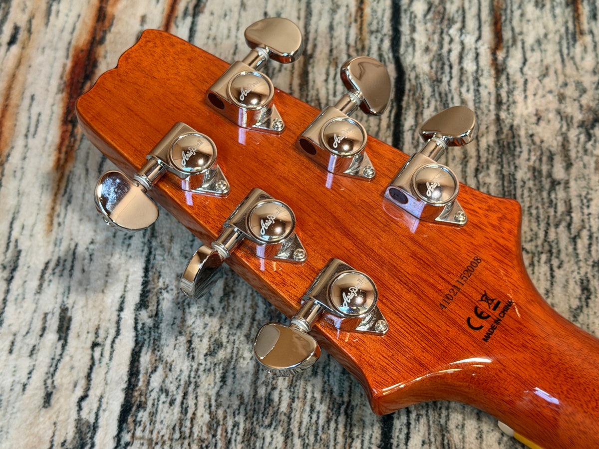 Aria Pro II RE350PG Signature - B STOCK