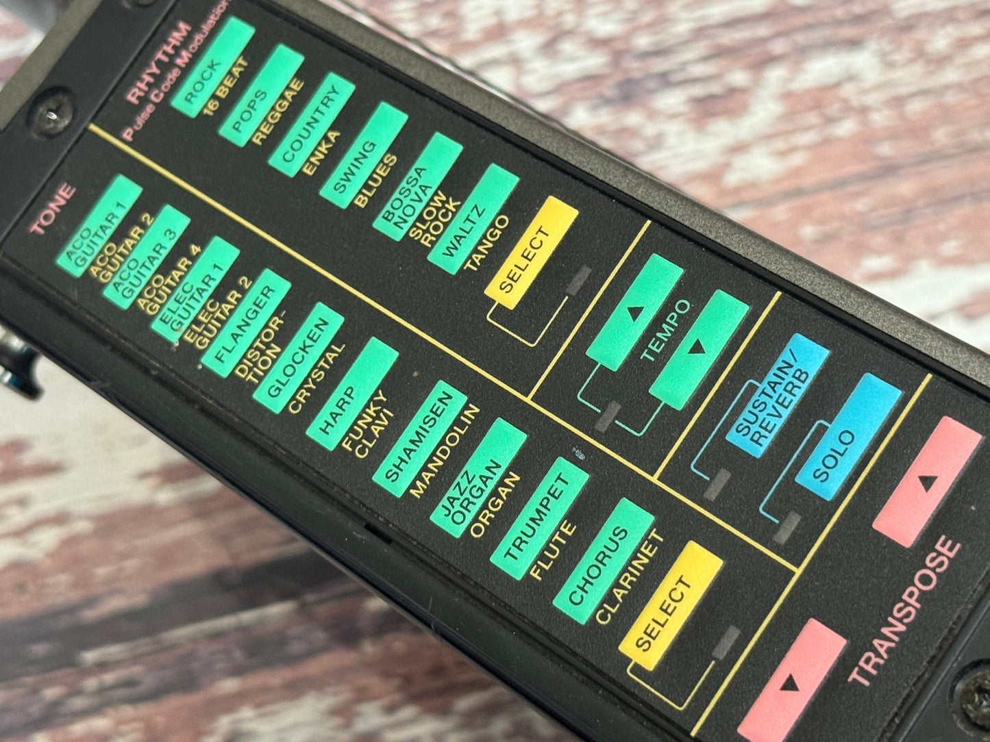 Casio DG-20 Synth guitar 1980s