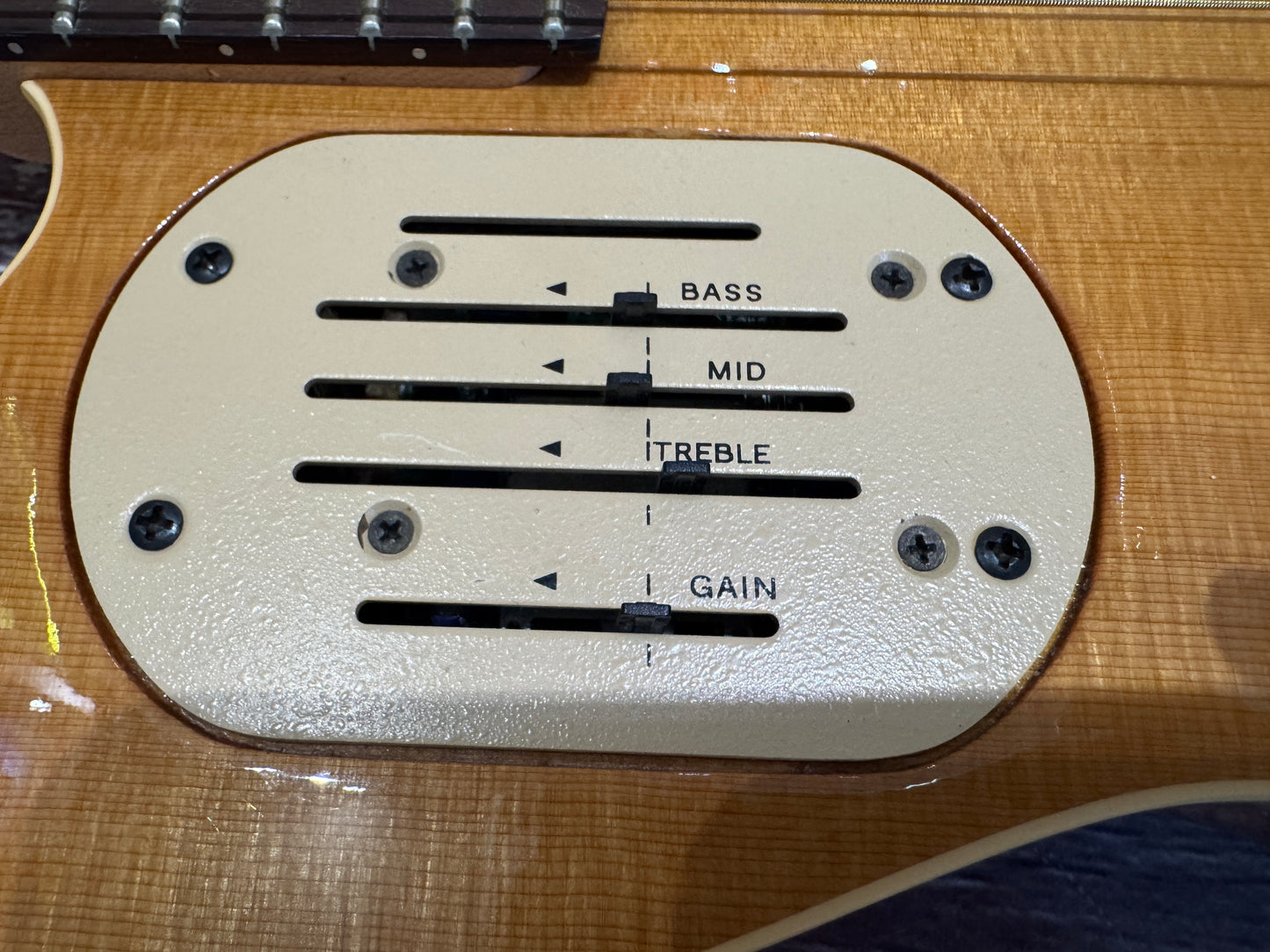 Godin Acousticaster (multiac style)