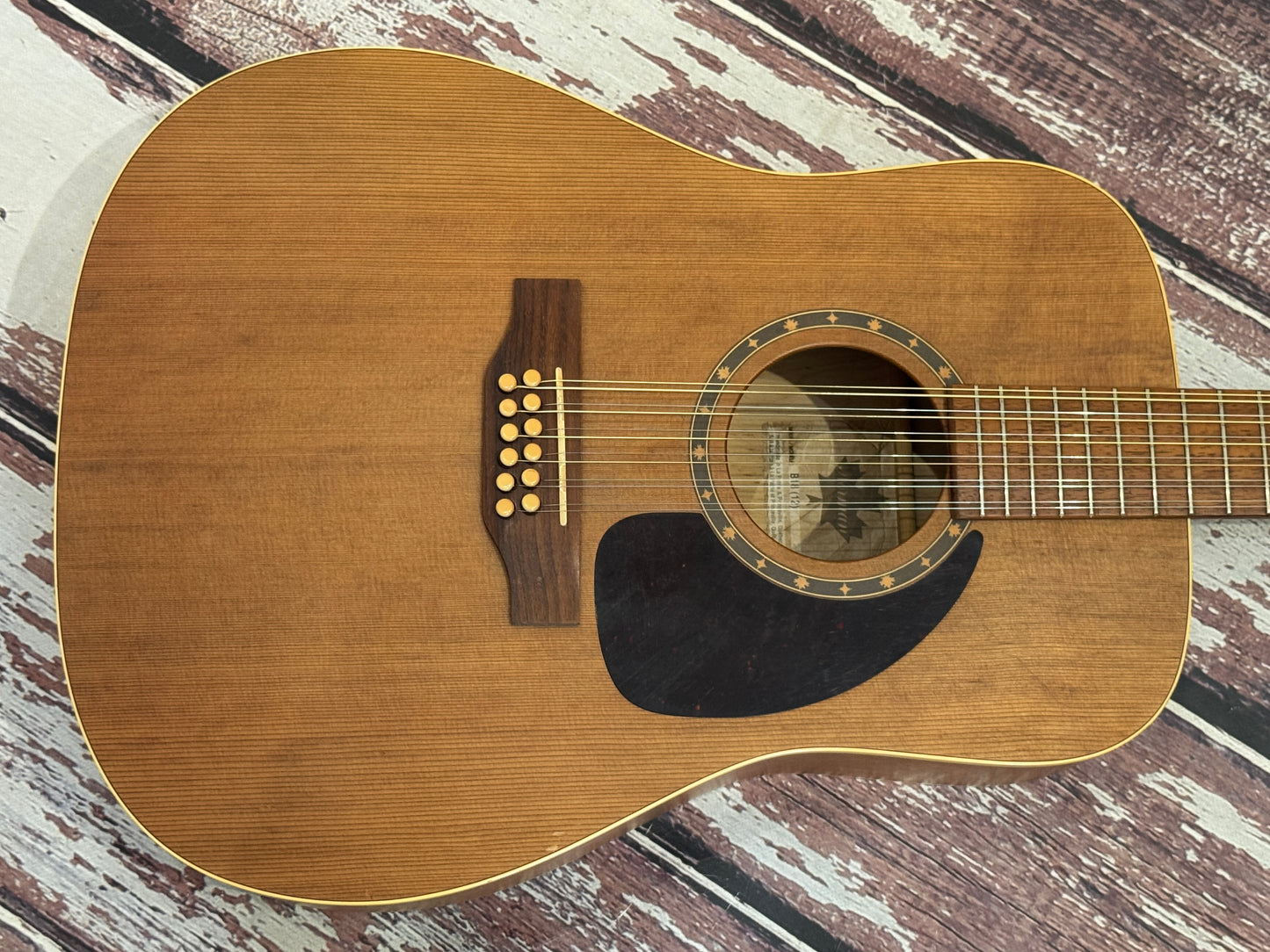Norman B18 12 string Electro acoustic - Godin Canada